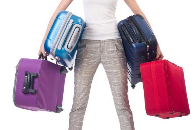 31339159_l-678×1024